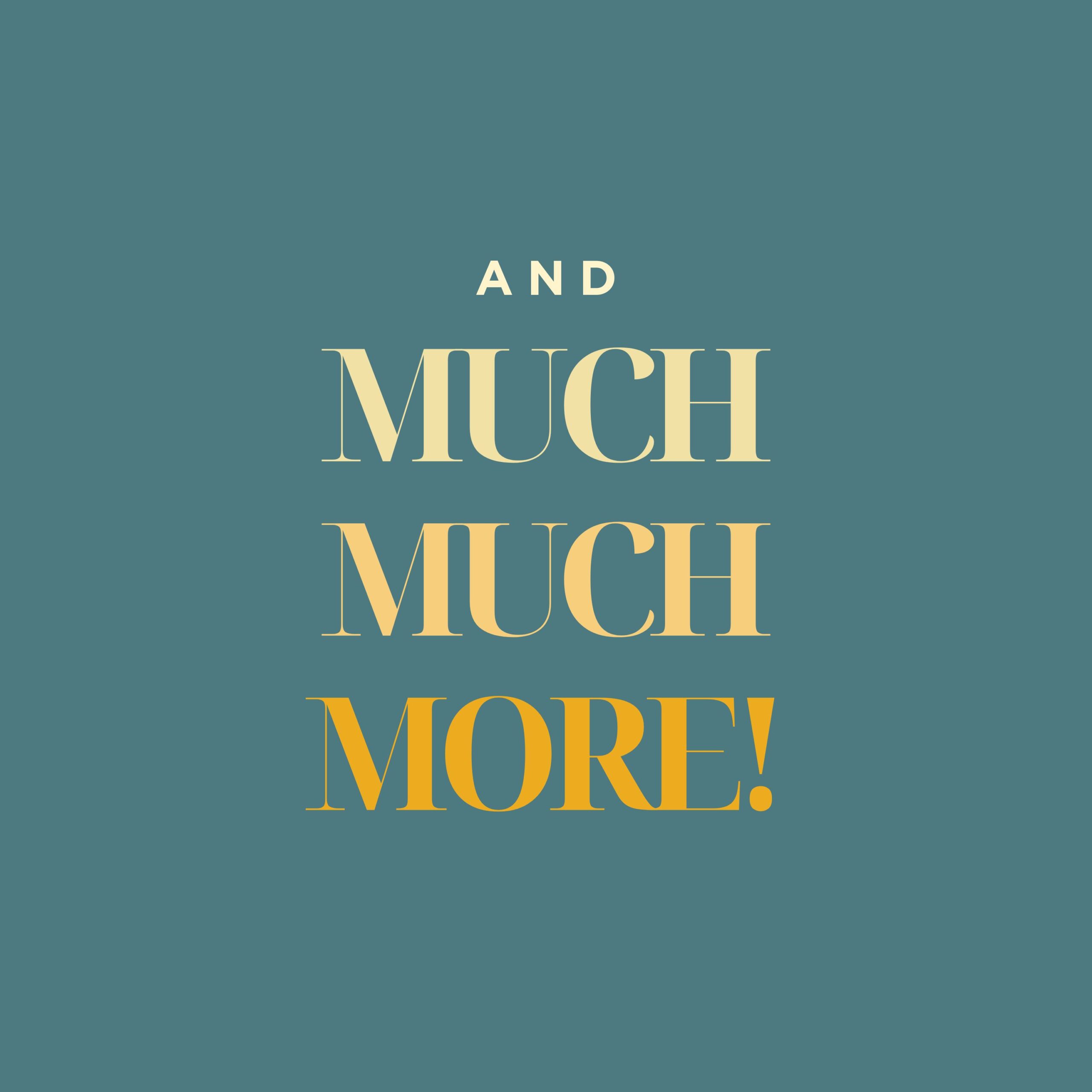 learn more with the SHE Launches playbook